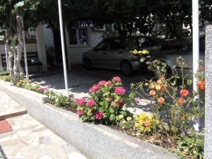 Ogród w obiekcie Apartments Lana