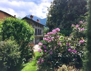 Aed väljaspool majutusasutust IRIS 1 lago di Como