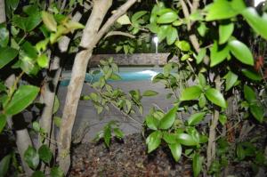 The swimming pool at or close to Masseria Paglieroni