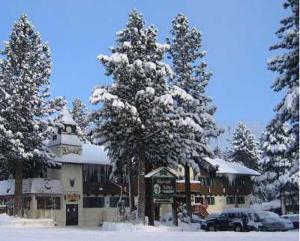 a tree filled with lots of snow next to a building at Alpenhof Lodge in Mammoth Lakes