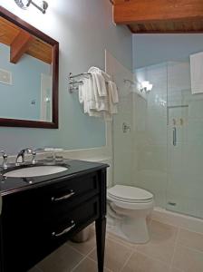 a bathroom with a toilet and a glass shower at The Mammoth Creek Inn in Mammoth Lakes