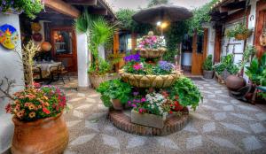 Zahrada ubytování Hotel Almadraba