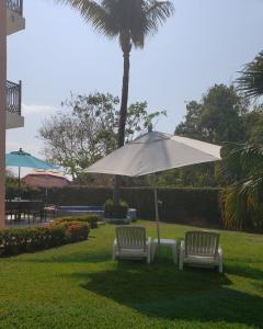 twee stoelen en een paraplu in het gras bij Delfin B&B in Cruz de Huanacaxtle