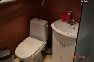 a bathroom with a white toilet and a sink at Melīna in Rēzekne