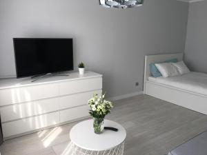 Mg Apartamenty - Apartament 51にあるテレビまたはエンターテインメントセンター