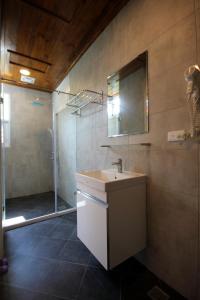 a bathroom with a sink and a shower with a mirror at Song Yue Homestay in Yuchi