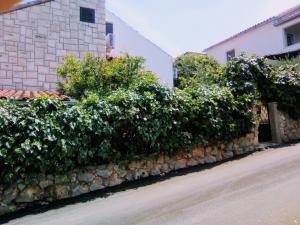 Fotografie z fotogalerie ubytování Apartment Ma're v destinaci Supetar