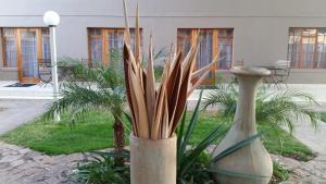 Fotografie z fotogalerie ubytování Augrabies Falls Lodge & Camp v destinaci Augrabies