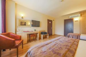 TV a/nebo společenská místnost v ubytování Hostapark Hotel