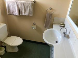Koupelna v ubytování Sheffield Motor Inn