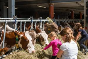 Ferienwohnungen Plattnerhof vendégei