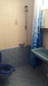 a bathroom with a blue toilet and a shower at House Kosmas on the beach in Sarti