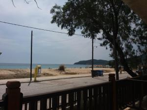 a view of a beach with a tree and the ocean at House Kosmas on the beach in Sarti