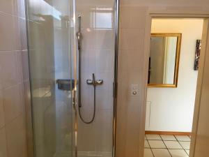 a shower with a glass door in a bathroom at Great2Stay City Center Apartments Locarno in Locarno +58 photos
