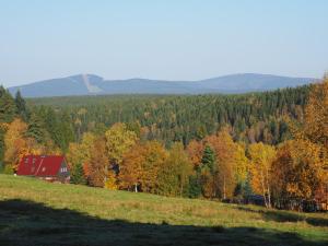 Příroda nedaleko bed and breakfast