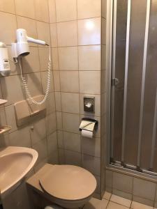 ein Bad mit einer Dusche, einem WC und einem Waschbecken in der Unterkunft Gasthof Stern in Greding