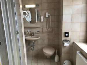 a small bathroom with a toilet and a sink at Gasthof Stern in Greding