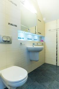 a bathroom with a toilet and a sink at Raad na Uroczysku in Szklarska Poręba