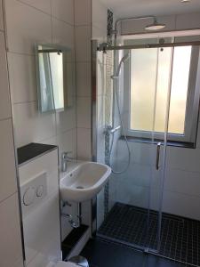 ein Bad mit einem Waschbecken und einer Dusche in der Unterkunft Apartment Hannover / Messe in Hannover