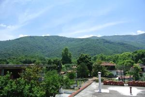 Gallery image of Milies Apartments in Stavros