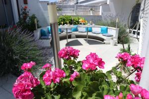 Zahrada ubytování Hotel Bavaria Trogir