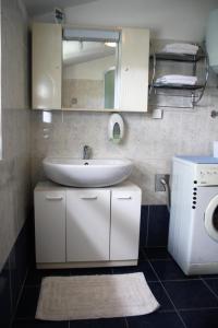 a bathroom with a sink and a washing machine at Apartman Monte Rudina in Motovun