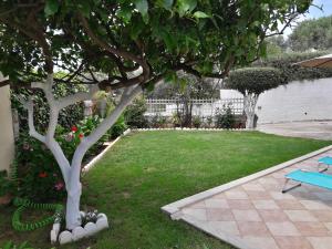 カト・ダラトソにあるManousos Apartmentsの木の庭と青いベンチ