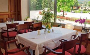 Restaurace v ubytování Waldhotel Felsenkeller