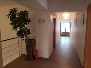 Fotografie z fotogalerie ubytování Ametist Casa Leului v destinaci Mamaia Nord – Năvodari