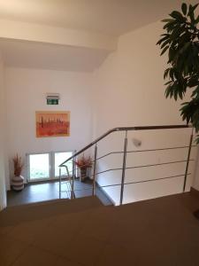Fotografie z fotogalerie ubytování Ametist Casa Leului v destinaci Mamaia Nord – Năvodari