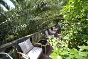 Κήπος έξω από το Hotel Alkima