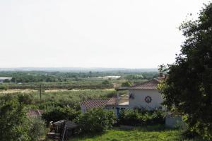 Φυσικό τοπίο κοντά σε αυτό το διαμέρισμα +18 φωτογραφίες