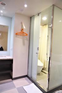 Vannituba majutusasutuses Dahshin Hotel