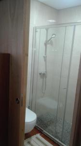 y baño con ducha y aseo. en VistaFreita- Rooms & Suites, en Arouca