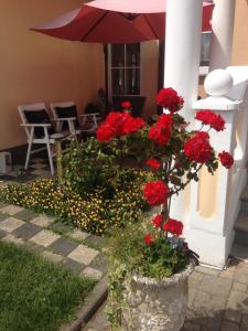 a vase filled with red flowers next to a building at Gästehaus Tante Tienchen 7 Minuten zu Fuss zum Europa Park , plus kostenloses Parkplatzticket Rulantica ,alle unsere Suiten haben einen Balkon in Rust