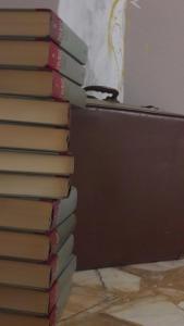The library in Az apartmant