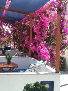 um pátio com buganvílias cor-de-rosa em Doron Hotel Delfini em Naxos Chora