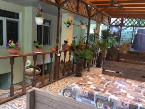 a porch with potted plants and a table with a truck on it at Guest House Karina in Sochi