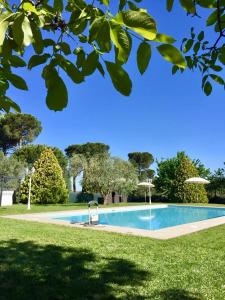 a swimming pool in a yard with a grass field at Agriturismo al Colle in Bertinoro