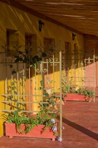 un edificio amarillo con dos ventanas con plantas. en Fazenda Santa Teresa Hotel, en Bocaina