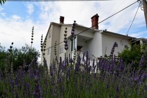Vonkajšia záhrada v ubytovaní Sunnyy Beacch Apartments