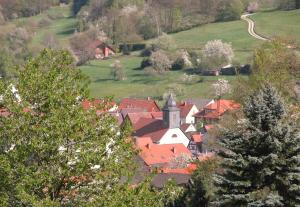 a small town with red roofs and a church at Gasthof-Landhotel-Metzgerei Zum Stern in Rüdenau