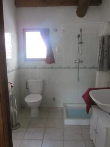 Koupelna v ubytování Gîtes des Cèdres + 15 fotografií