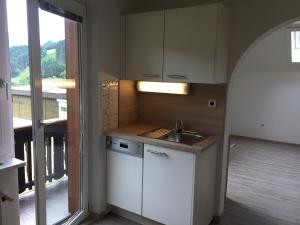 Kuchyňa alebo kuchynka v ubytovaní Ferienwohnung Trattnig + 37 fotografií