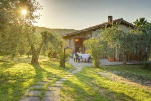 A garden outside Tuscan Roots