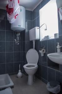 Koupelna v ubytování Apartments Subotic