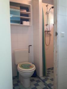 a bathroom with a toilet and a shower at Little Beach House - Free parking in Zandvoort +15 photos