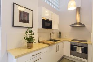 Kuchyň nebo kuchyňský kout v ubytování Apartamentos Málaga Picasso