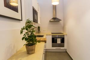 Kuchyň nebo kuchyňský kout v ubytování Apartamentos Málaga Picasso
