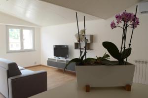 a living room with a couch and a large plant at A 48 passi dalle 5 Terre in Riccò del Golfo di Spezia
